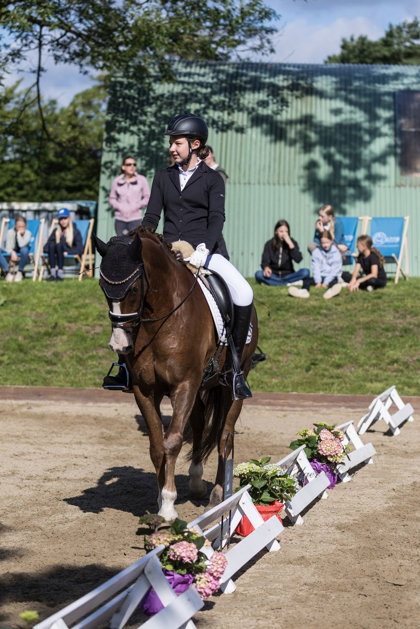 Bild 567 - Pony Akademie Turnier
